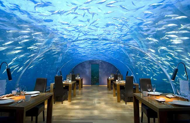 Ăn tối tại tại nhà hàng Ithaa dưới biển sâu 5 mét, Alif Dhaal Atoll, Maldives.