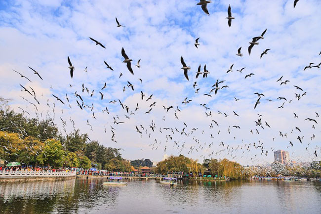 Green Lake Park: Công viên này, bao gồm 4 hồ nhỏ được nối với nhau bởi một cây cầu truyền thống của Trung Quốc.