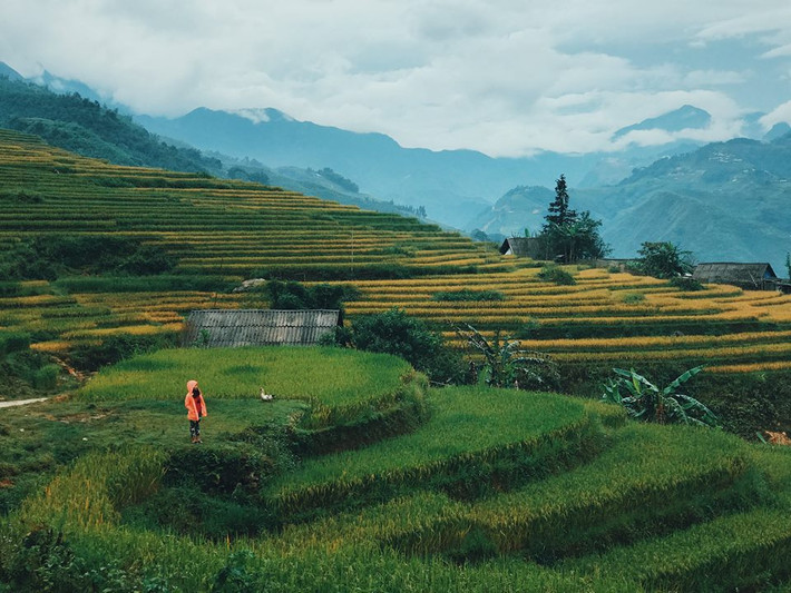 Check in vào ruộng lúa ở homestay: Để cảm nhận được rõ hơn về cuộc sống, bạn có thể ở homestay, những ngôi nhà sàn được dựng nên bằng gỗ ấm cúng, ánh đèn vàng ấm áp và thường có cửa sổ kính lớn hay một ban công nhỏ bên ngoài. Hãy tưởng tượng một buổi sáng thức giấc, hít một hơi là bạn đã có thể cảm nhận được mùi lúa chín.