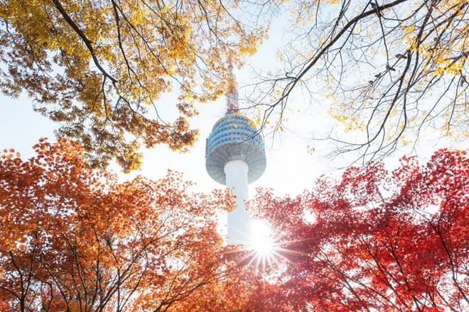 Trải nghiệm ngắm nhìn lá thu ở Hàn Quốc, các vườn quốc gia như Seoraksan, Gyeongju hay Naejangsan, công viên Namsan là những địa điểm nổi tiếng để tận hưởng những tán lá mùa thu đầy mê hoặc.