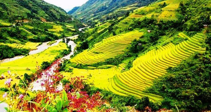 Việt Nam: Phong cảnh xanh tươi của Việt Nam tạo nên một nơi nghỉ trăng mật lý tưởng ở châu Á.Việt Nam là một quốc gia Đông Nam Á nổi tiếng với những bãi biển bình yên tuyệt đẹp, những dòng sông xanh mát và những thành phố nhộn nhịp. Có rất nhiều điều để khám phá tại đất nước này trong một chuyến đi dài ngày. Nếu bạn muốn có một kỳ nghỉ trăng mật lãng mạn, bạn thực sự có thể tận hưởng những khoảnh khắc đẹp nhất của mình cùng nhau tại Việt Nam. Một số trong những điều tốt nhất để làm ở Việt Nam bao gồm ăn các món ăn ngon tại các nhà hàng hoặc các quán vỉa hè bình dân, đi du lịch ở đồng bằng sông Cửu Long, thăm đường hầm Củ Chi hoặc thực hiện một chuyến đi thuyền kayak với người dân địa phương.