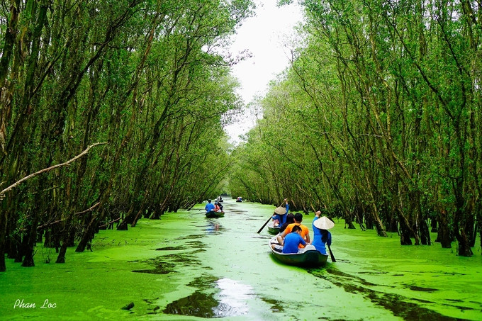 Chèo xuồng trong rừng tràm Trà Sư: Nằm cách thị xã Châu Đốc chừng 30km, rừng tràm Trà Sư thuộc huyện Tịnh Biên, An Giang mang nét đẹp điển hình của miền Tây mùa nước nổi. Thật phí phạm nếu như bạn tới miền tây mà không dành thời gian thả trôi mình với thiên nhiên mát lành nơi đây.