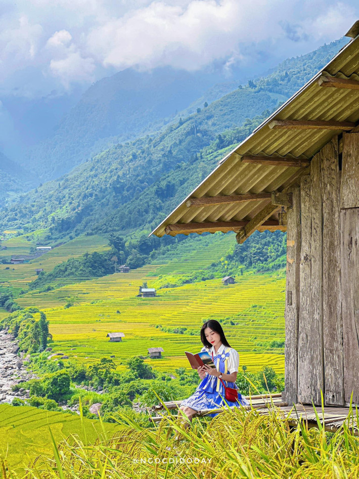 Có những bạn trẻ năm nào cũng ghé thăm mùa lúa, vừa để "chữa lành", vừa để ngắm nhìn khung cảnh tuyệt diệu của mẹ thiên nhiên.