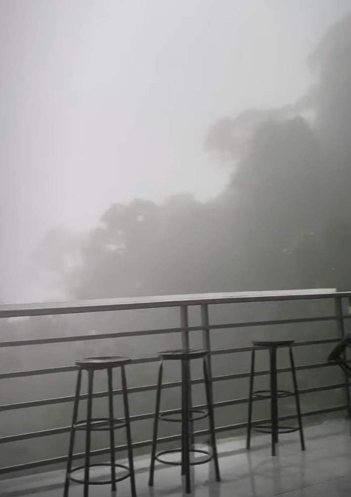 Tầm nhìn xa mấy chục mét trong sương...