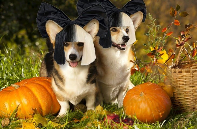 Từ một lễ hội truyền thống, bắt nguồn tại các quốc gia phương Tây, Halloween ngày càng trở nên phổ biến ở nhiều nước trên thế giới. Trong những ngày cuối tháng 10, mạng xã hội ngập tràn hình ảnh hóa trang độc đáo chào đón Halloween. Ảnh: @EpicCosplay.
