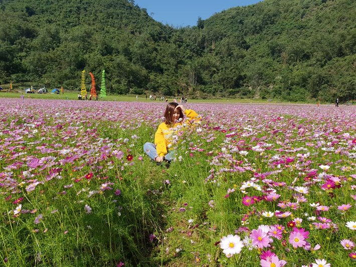 Thung lũng hoa Bắc Sơn trở thành địa điểm “sống ảo” mới của nhiều du khách. Chỉ cần đứng trước cánh đồng hoa đẹp tuyệt này, mọi mệt mỏi ưu phiền của cuộc sống dường như cũng tan biến hết.