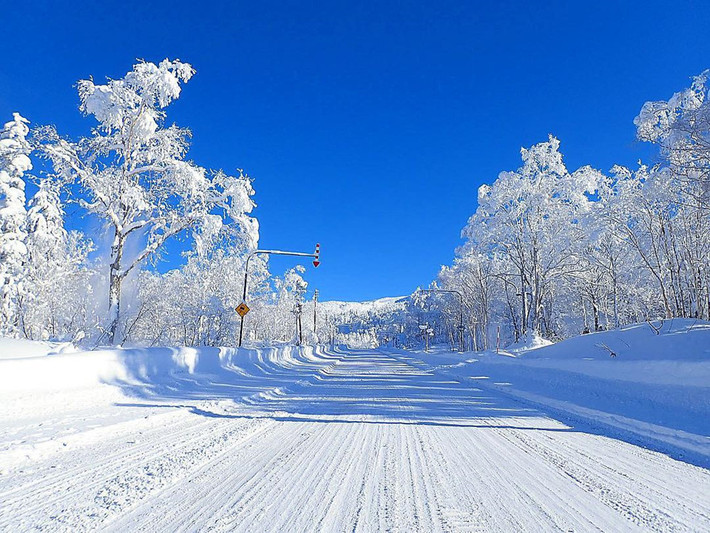 Hokkaido, Nhật Bản: Thời tiết ở Hokkaido vào mùa đông phủ trắng băng tuyết rất lạnh, nhiệt độ xuống khoảng âm 5 độ C, phía đông có khi xuống tới âm 30 độ C. Hokkaido nổi tiếng với hiện tượng thiên nhiên kỳ thú có tên "bụi kim cương", được hình thành khi nhiệt độ đóng băng xuống dưới âm 15 độ C. Những tinh thể tuyết hoặc hơi ẩm kết tinh rồi rơi xuống đúng lúc ánh mặt trời phản chiếu, tạo thành một luồng bụi sáng lấp lánh tựa những viên kim cương. Chỉ có Nam Cực, Bắc Cực và những khu vực như Furano và Asahikawa của Hokkaido mới có hiện tượng thiên nhiên tuyệt diệu này. Ảnh: Ke1co1011.