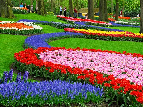 Bao gồm diện tích 32 ha, Keukenhof ở thế kỷ 15 là một nơi săn bắn bao gồm rừng và cồn cát. Năm 1949, ông Lambooy, Thị trưởng Lisse với hàng chục người trồng hoa tulip nổi tiếng, đã phát triển ý tưởng cho một triển lãm hoa ngoài trời, xây dựng lên vườn hoa tuyệt đẹp Keukenhof mà chúng ta thấy ngày nay. Được thiết kế chủ yếu theo phong cách cổ điển của Anh, Keukenhof cũng có các thể loại về các phong cách sân vườn khác nhau, bao gồm cả vườn Nhật Bản và hay vườn Lịch sử. Các loại thảo mộc cổ, các giống hoa tulip rất cũ, cũng như các loại cây có củ với cây lâu năm và cây bụi thực sự hấp dẫn vô số người yêu thích thiên nhiên đến nơi đây.