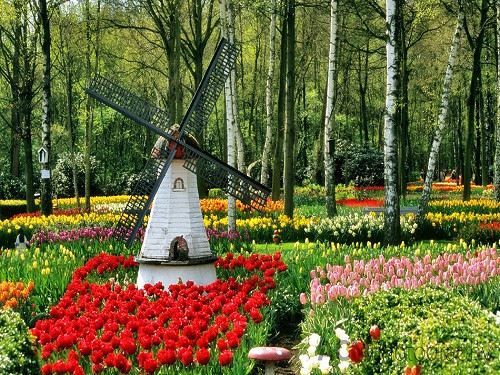 Thời gian nào ghé thăm Keukenhof cũng tuyệt đẹp, nhưng đẹp nhất là vào mùa xuân và mùa thu khi trăm hoa đua nở với muôn sắc màu rực rỡ nhất