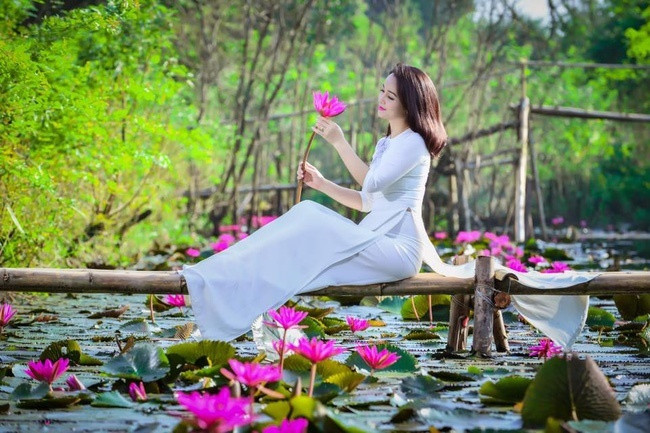 Bước đến Suối Yến những ngày chớm đông, không còn những con thuyền xuôi ngược vào chùa Hương mà thay vào đó là sự yên ả bình yên bao trùm, được tô điểm bởi những bông hoa súng khoe sắc tím dịu dàng.