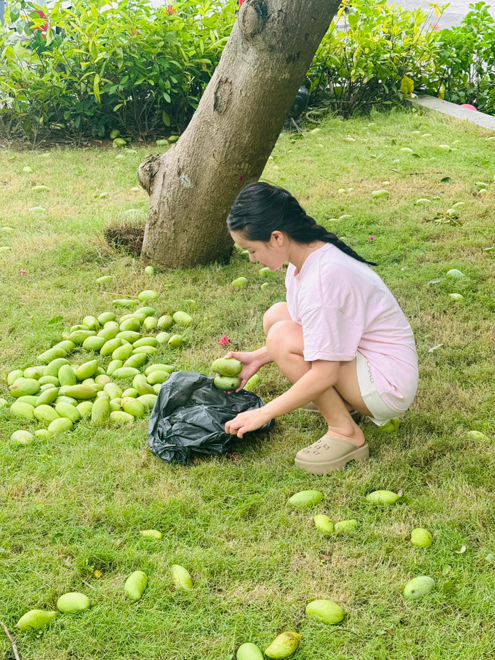 Xoài non là món khoái khẩu của rất nhiều chị em. (Ảnh: tổng hợp Facebook)