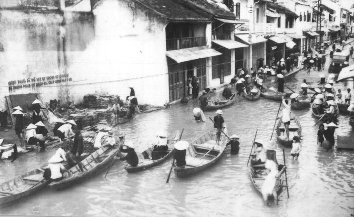 Trong trận lụt Giáp Thìn 1964, hơn 30.000 con heo, gà, trâu, bò ở Quảng Nam bị chết, xuôi theo dòng nước về tận vùng biển, ùn ứ lại thành một bờ đê xác súc vật...
