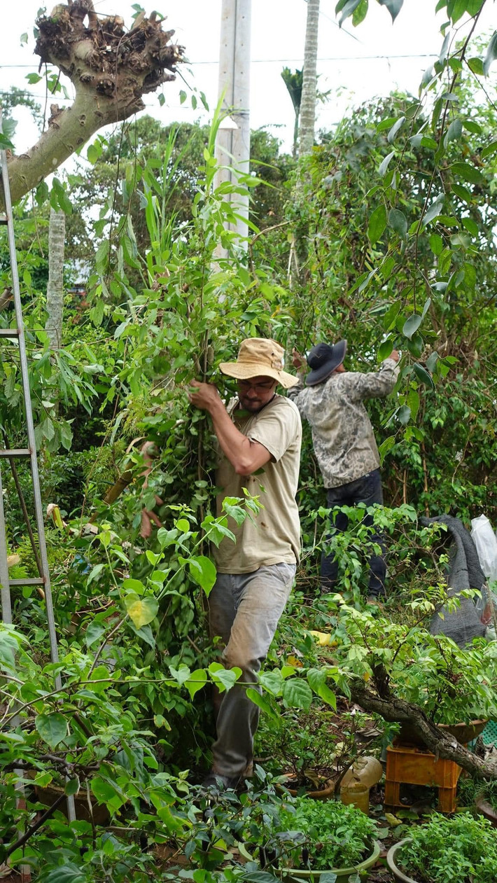 Chàng rể Tây không ngại bùn đất lấm lem mà "hòa tan" với những phong tục, công việc gia đình vợ.