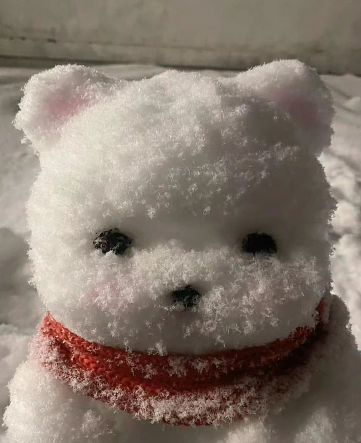 Một chú gấu cực kỳ đáng yêu như món đồ chơi squishy mềm mại.