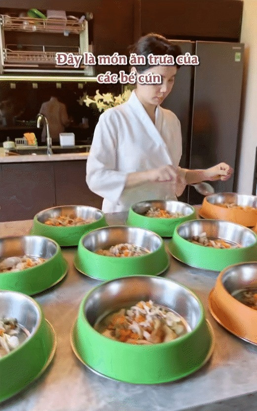 Cô dành rất nhiều thời gian rảnh để đưa chó đi dạo, chăm từng bữa ăn giấc ngủ, thậm chí tự tay làm những bữa ăn cho cún cưng.