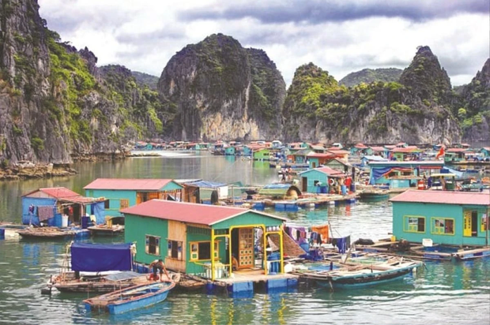 Cuộc sống của người dân gắn liền với chiếc bè chủ yếu được làm bằng gỗ và tre lênh đênh trên sông. Có những gia đình khá giả hơn, chiếc bè được lợp mái tôn chắc chắn hơn. Vì thế, nhìn xa xa, bạn sẽ thấy được một bức tranh nhiều màu sắc xanh, đỏ, vàng cứ nhấp nhô theo làn nước.