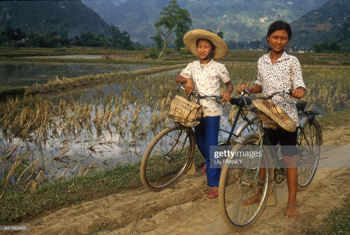 Ngày xưa, nhà có chiếc xe đạp cũng được xem như là có của ăn của để. (Ảnh: Lily Franey / Getty Images)
