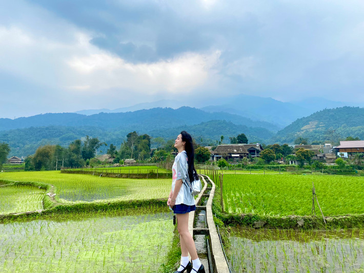Du khách checkin cùng ruộng đồng người Tày thôn Hạ Thành. Ảnh: Thủy Tiên