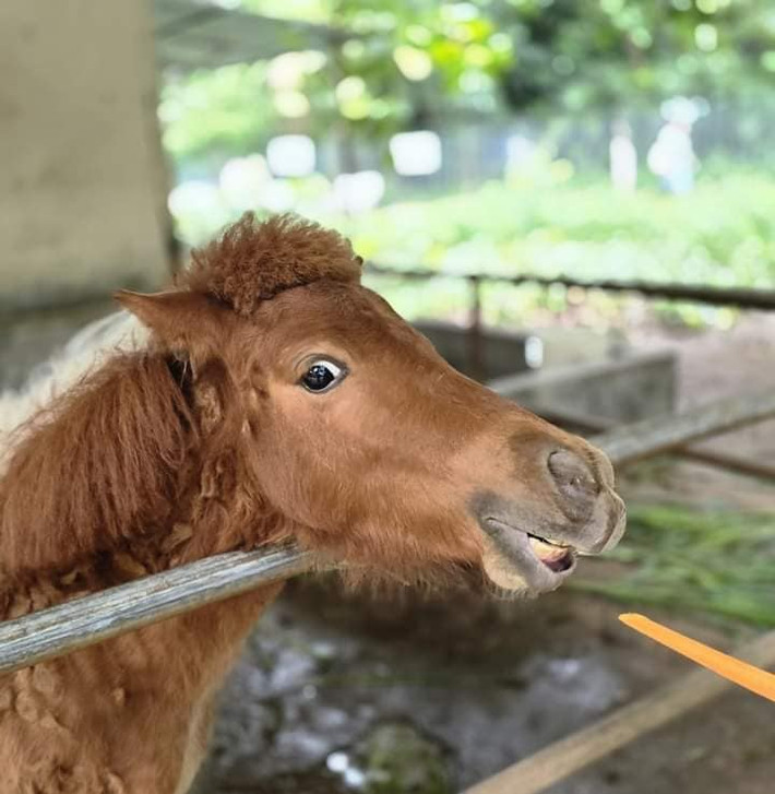 Biểu cảm vô cùng thái độ...