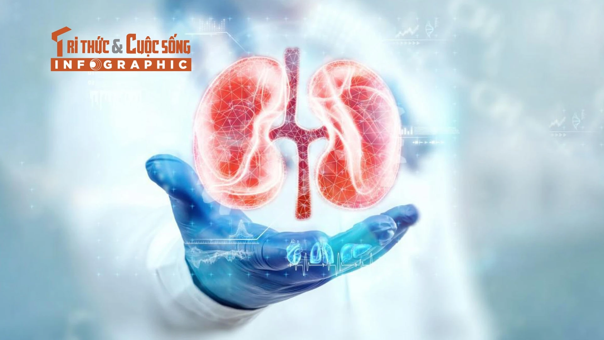 [INFOGRAPHIC] Dấu hiệu buổi sáng chứng tỏ thận "khỏe như vâm"