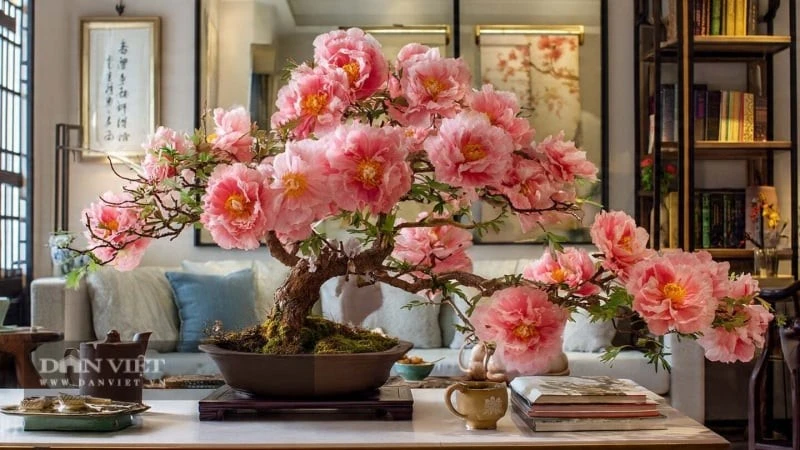 Top 5 cây cảnh hút lộc đón năm mới may mắn, phát tài