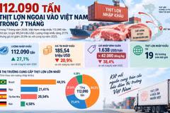 [INFOGRAPHIC] Thịt lợn ngoại vào Việt Nam tăng mạnh, giá nhập giảm sâu