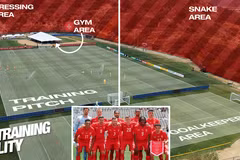 Đội tuyển Thụy Sĩ cảnh báo về rắn độc tại nơi tập luyện World Cup 2026