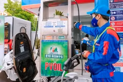 Lý do nào khiến các chủ xe đời cũ lo lắng khi chuyển sang xăng E10?