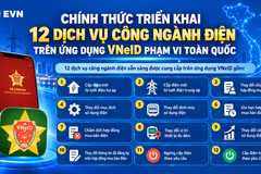 [INFOGRAPHIC] Người dân có thể thực hiện 12 dịch vụ điện qua VNeID