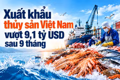 [INFOGRAPHIC] Xuất khẩu thủy sản Việt Nam vượt 9,1 tỷ USD sau 9 tháng