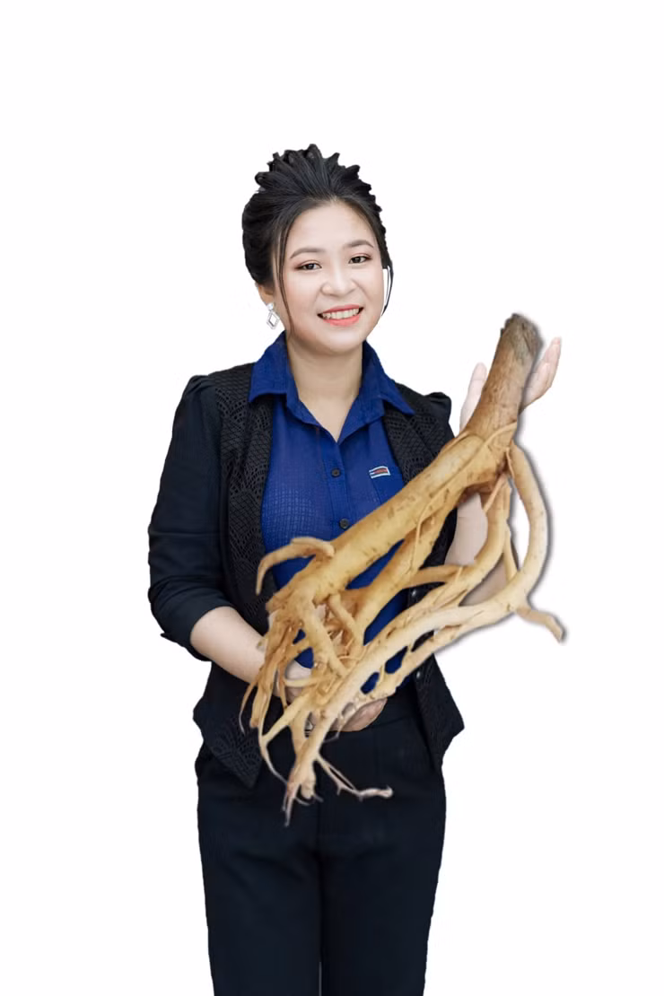 Kỳ lạ loại mứt làm từ rễ cây, một cân giá gần triệu đồng ảnh 1 Kỳ lạ loại mứt làm từ rễ cây, một cân giá gần triệu đồng ảnh 1