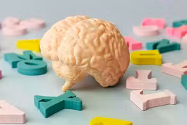 Nói nhiều ngôn ngữ có thể giúp não trẻ hơn tới 13 tuổi