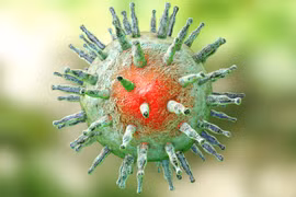 Vì sao Epstein-Barr được gọi là 'virus bách bệnh'?