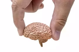 Bộ não người lớn tuổi có thể được tối ưu cho một chức năng khác