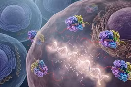 Phát hiện loại enzyme tiêu diệt DNA tế bào ung thư