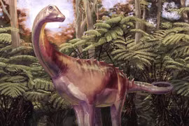 Hóa thạch 83 triệu năm thay đổi dòng thời gian của khủng long