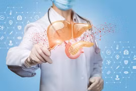 MIT phát triển 'gan mini' tiêm vào mô mỡ hỗ trợ người xơ gan
