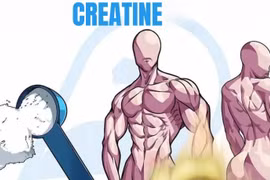 Creatine giúp tăng cơ và sức mạnh cho người trung niên 