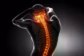 Phát hiện ra một tín hiệu miễn dịch giúp tái tạo tủy sống