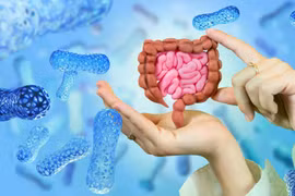Biến vi khuẩn probiotic thành 'máy sản xuất thuốc' chống ung thư 