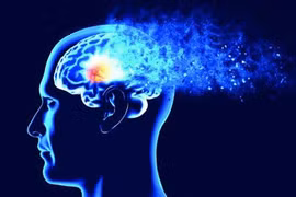 Phát hiện các protein độc hại 'tiền trạm' cho bệnh Alzheimer