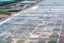 FMC báo lãi quý 2 tăng trưởng dù chịu thuế đối ứng cao