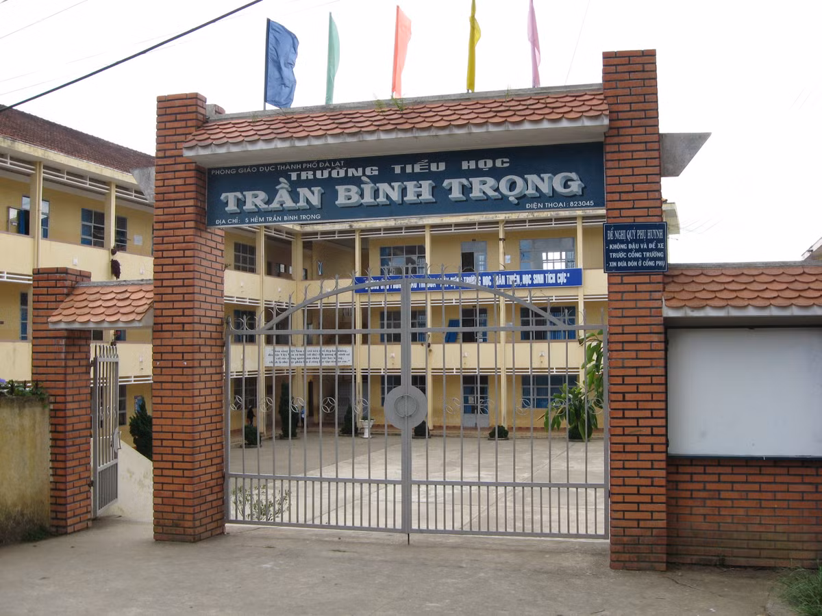 tieu-hoc-tran-binh-trong.jpg