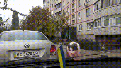 "Giật cả mình!"