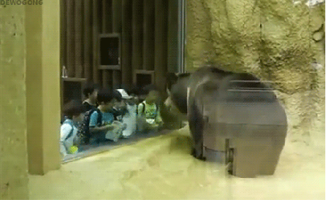 "Nào chúng ta cùng gật, gật".