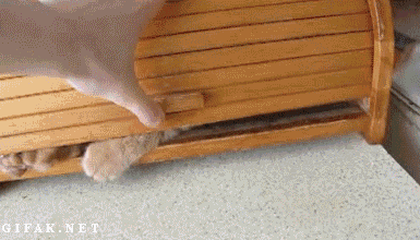 Chỗ ngủ bình yên.
