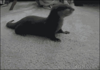 Nhầm rồi!
