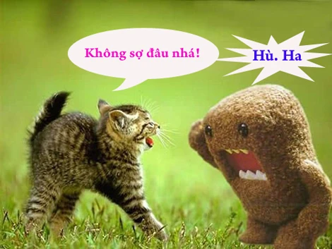 Khi động vật tỏ ra “nguy hiểm” (P3)