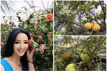 Khu vườn sum suê hoa trái trong biệt thự của 'Hoa hậu chưa có người kế vị' 