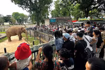 [GALLERY] Điểm vui chơi tại Hà Nội đông khách dịp nghỉ lễ Quốc khánh 2/9